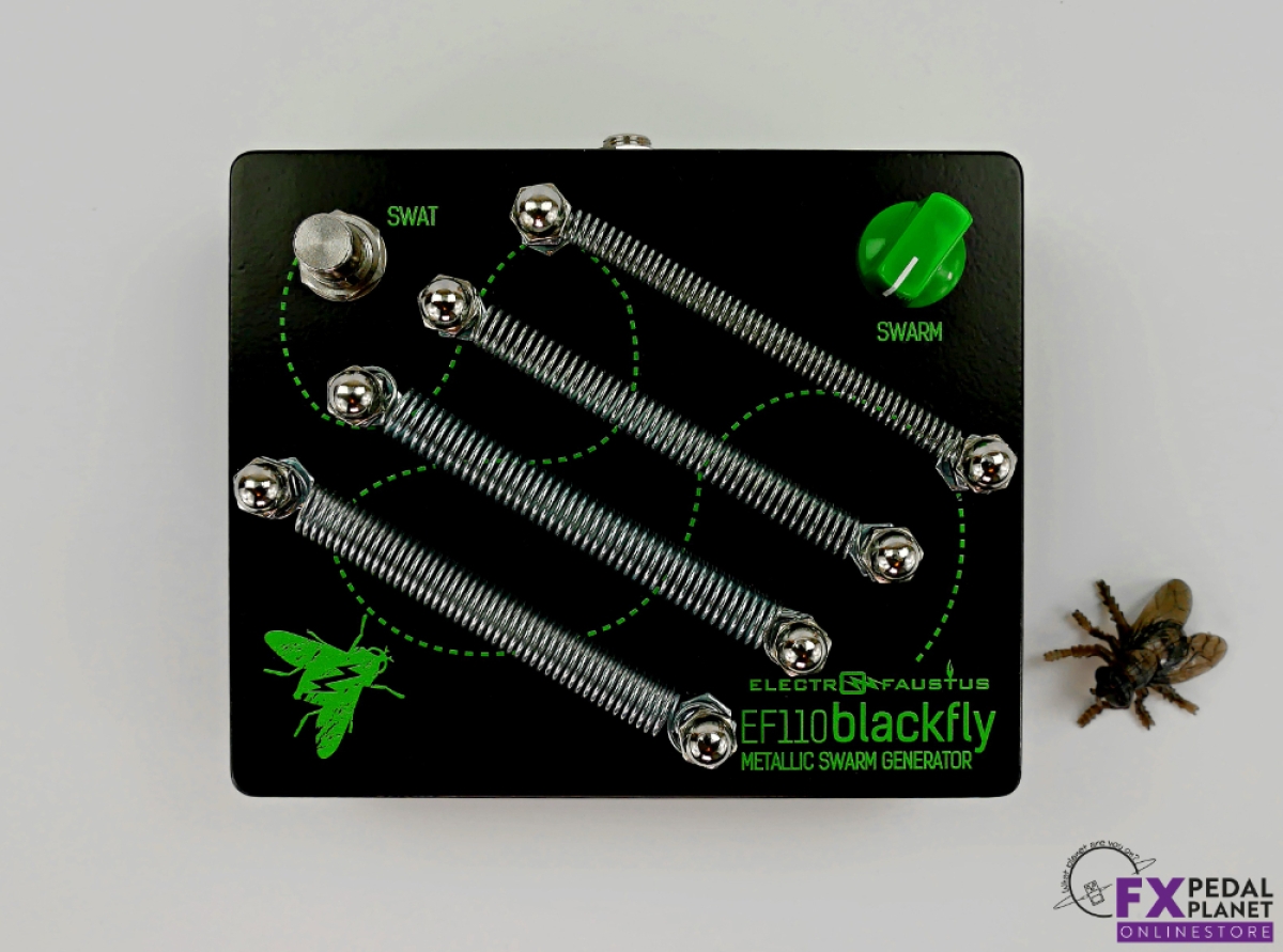 Blackfly